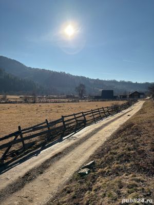 teren de vanzare   