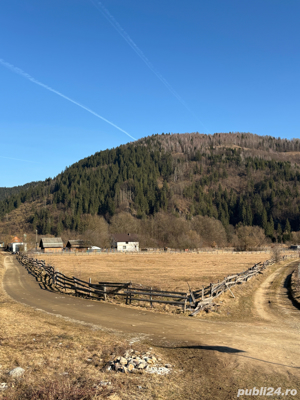 teren de vanzare    - imagine 3