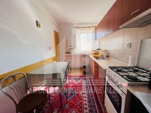 Apartament 2 camere Cetate M-uri, vedere parcul Unirii - imagine 2