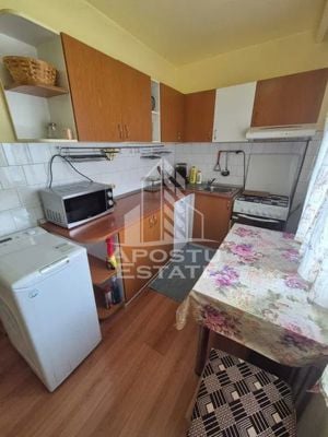 Apartament 1 camera, Calea Aradului, Iulius Mall - imagine 6