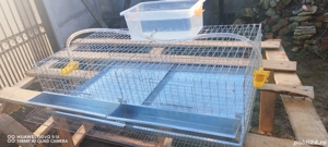 Cușcă prepelițe 50 pasari