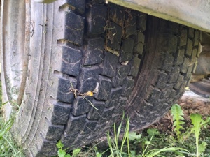 vand mercedes vario 814 d - imagine 2