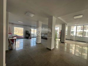 Spatiu comercial de inchiriat, Str. D8, Mamaia Sat - imagine 15