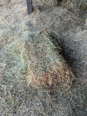 Vând baloți de lucernă dreptunghiulari