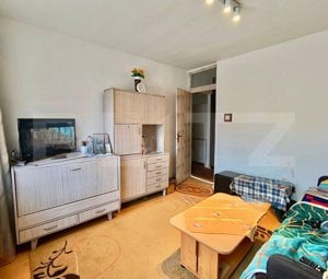 Apartament confortabil de 2 camere, etaj 1, zona Ampoi 3 - imagine 3