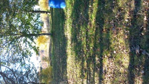 Vind construcție nouă, 19 garsoniere,camere pentru închiriat. - imagine 9