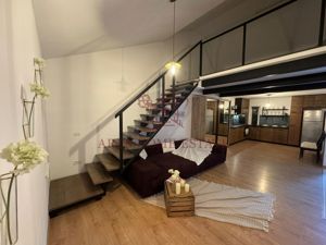 Apartament cu 2 camere, curte 120 mp, 2 locuri de parcare. - imagine 7