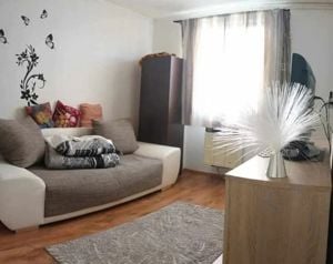 Ady Endre - Vanzare apartament 1 camera - Str. Rovinari - imagine 3