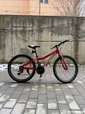 Bicicletă PEGAS Mini Drumeț 24'' Roșu+Cască PEGAS Retezat M(54-59 cm) - imagine 3