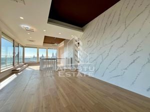 Penthouse exclusivist pe 2 nivele, cu 4 camere, zona Take Ionescu - imagine 3