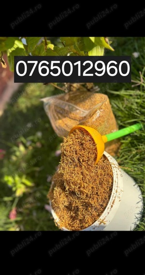 Tutun de fabrica la oferta