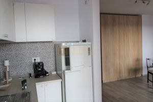 PET FRIENDLY/ Iris, zona de nord, terasa spatioasa - imagine 5