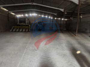 Spații de Depozitare de Închiriat – Brabova, la 30 km de Craiova - imagine 7