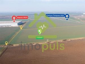 ️ Teren Intravilan 6,4 ha–Hale de Producție, Depozite și Logistică✨ - imagine 3