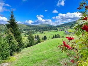 Teren intravilan in Arieseni, sat Galbena