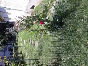 Vand apartament spatiu - imagine 6