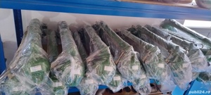 Aspersor profesional Sime Mercury 14-24 mm - imagine 3