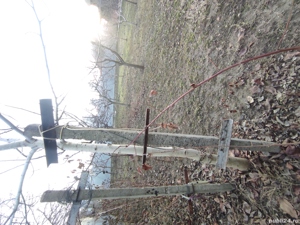 spalieri vie cu dispozitiv pentru sarma