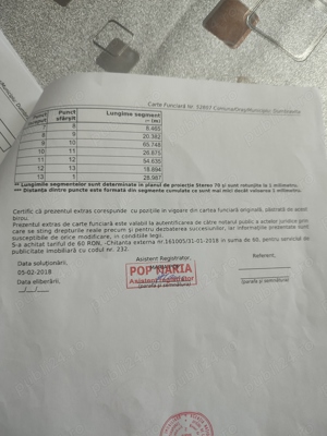 Vând teren cu vie in Dumbrăvița (Baia Mare) - imagine 5