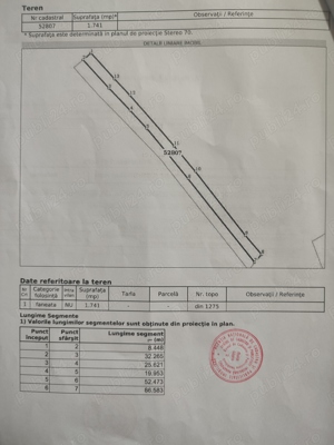 Vând teren cu vie in Dumbrăvița (Baia Mare) - imagine 11