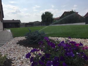 Servicii peisagistice