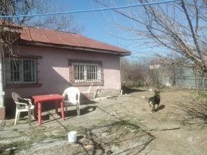 Vind casa batrineasca - imagine 3