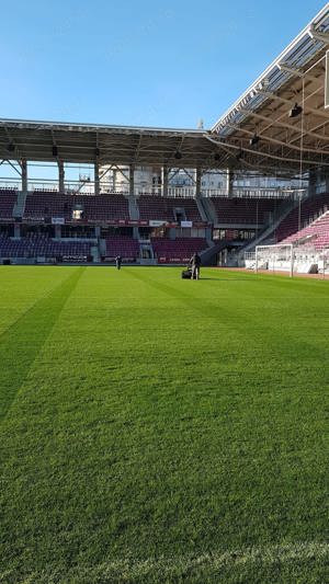 Specialist in intretinere gazon