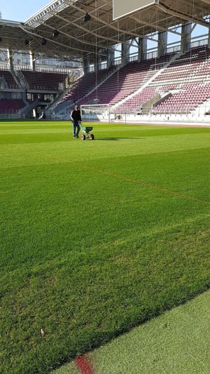 Specialist in intretinere gazon - imagine 2