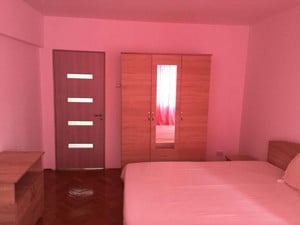 Apartament de 3 camere, 90 mp, pet-friendly, parcare, AC, Colentina - imagine 3