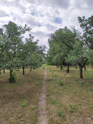 Vând casă în Ungaria la 2 km de vama - imagine 5