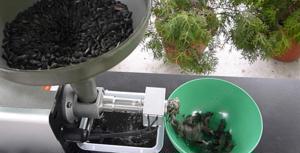 Presa ulei la rece extractie din alune de padure, arahide - imagine 2