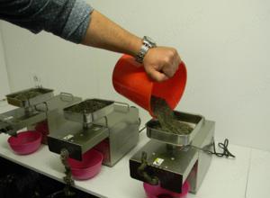 Presa ulei, alimentare 220V - imagine 2