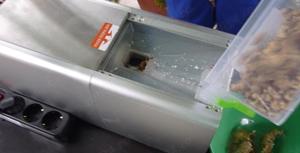 Presa ulei extractie din miez de nuca