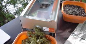 Presa de ulei electrica pentru seminte de dovleac - imagine 2