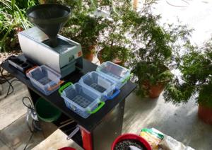 Presa ulei extractie rapita