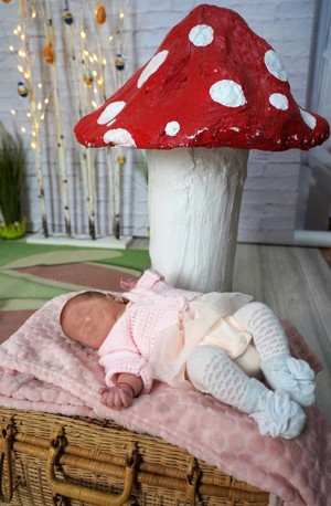 set 2 ciuperci foarte mari din gips pentru decor - imagine 5