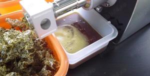 Extractor ulei din seminte de dovleac fara coaja Styria - imagine 2