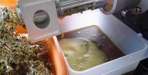 Extractor ulei din seminte de dovleac fara coaja Styria