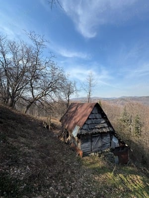 Teren +căbănuță Luncșoara 1200mp