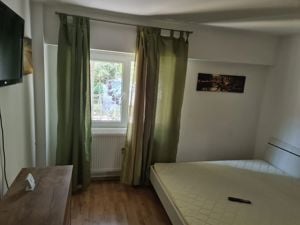 Apartament cu o cameră de închiriat în IC FRIMU - imagine 2