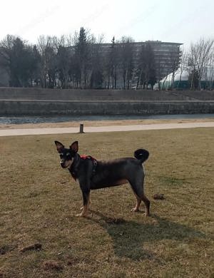 donez catelusa foarte blanda si buna
