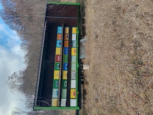 Remorca apicola  pavilion apicol omologata 60famili albine schimb cu ATV ,autoturism