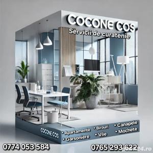Cocone cos servicii profesionale de curățenie 