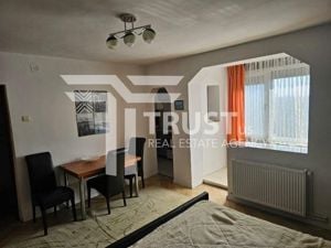 Apartament 1 Camera / Zona Take Ionescu / Centrala Proprie - imagine 3