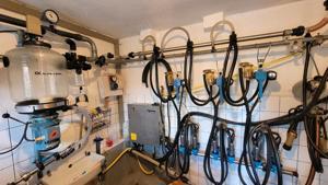 Sisteme de muls ,cu montaj,cu service Delaval,Alfa Laval,Westfalia