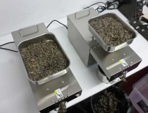 Presa ulei verificare acid oleic