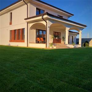    Servicii peisagistice 