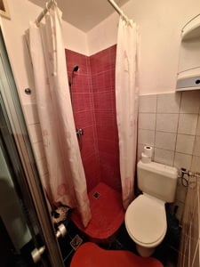 220 euro!!! Garsoniera la parter Zona Buziasului - imagine 7