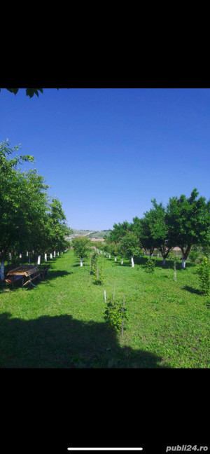 Casa de vanzare in Calan - imagine 4