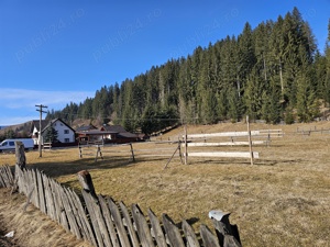 Teren de vanzare intravilan in Bucovina Vatra Moldovitei - imagine 4